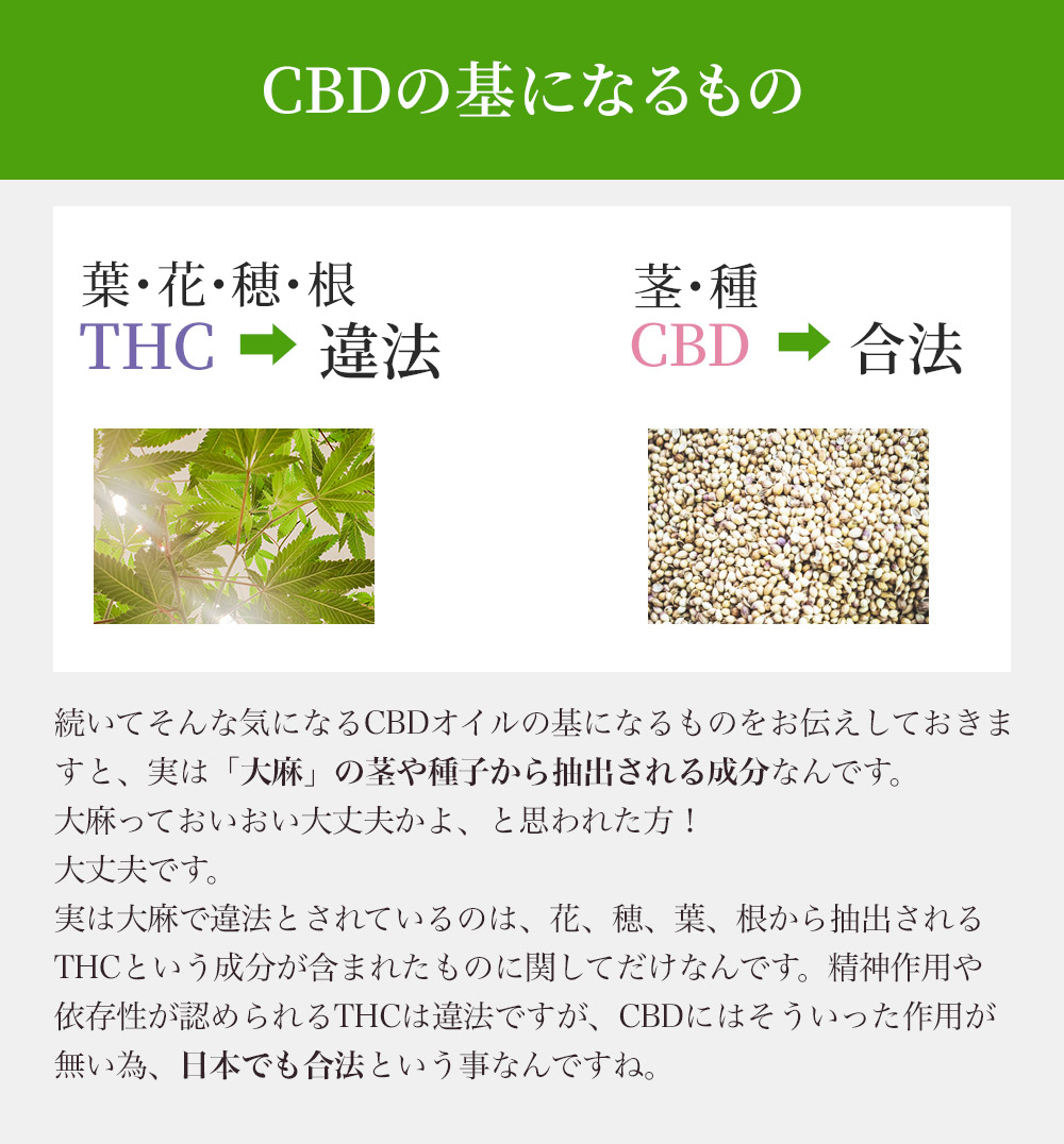 CBDの基になるものの画像